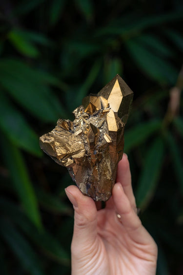 Golden Aura Cluster